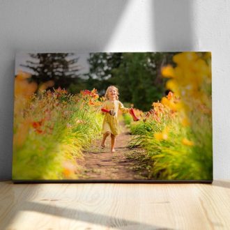 tablou-canvas-20x40
